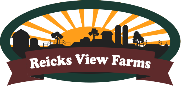 Reicks View Farms